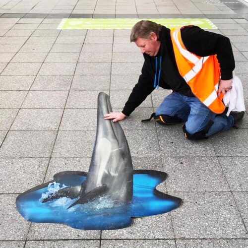 man stroking dolphin sticker on floor