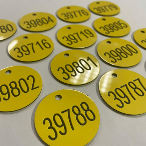 engraving and braille numbered discs